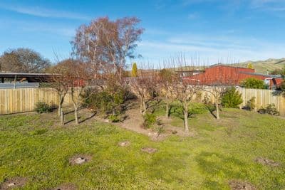 386 Alabama Road, Riverlands, Marlborough, Marlborough | Tall Poppy 
