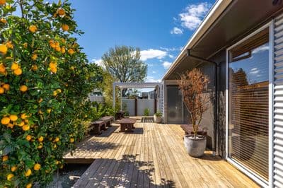 52A Dillon Street, Blenheim, Blenheim, Marlborough | Tall Poppy 