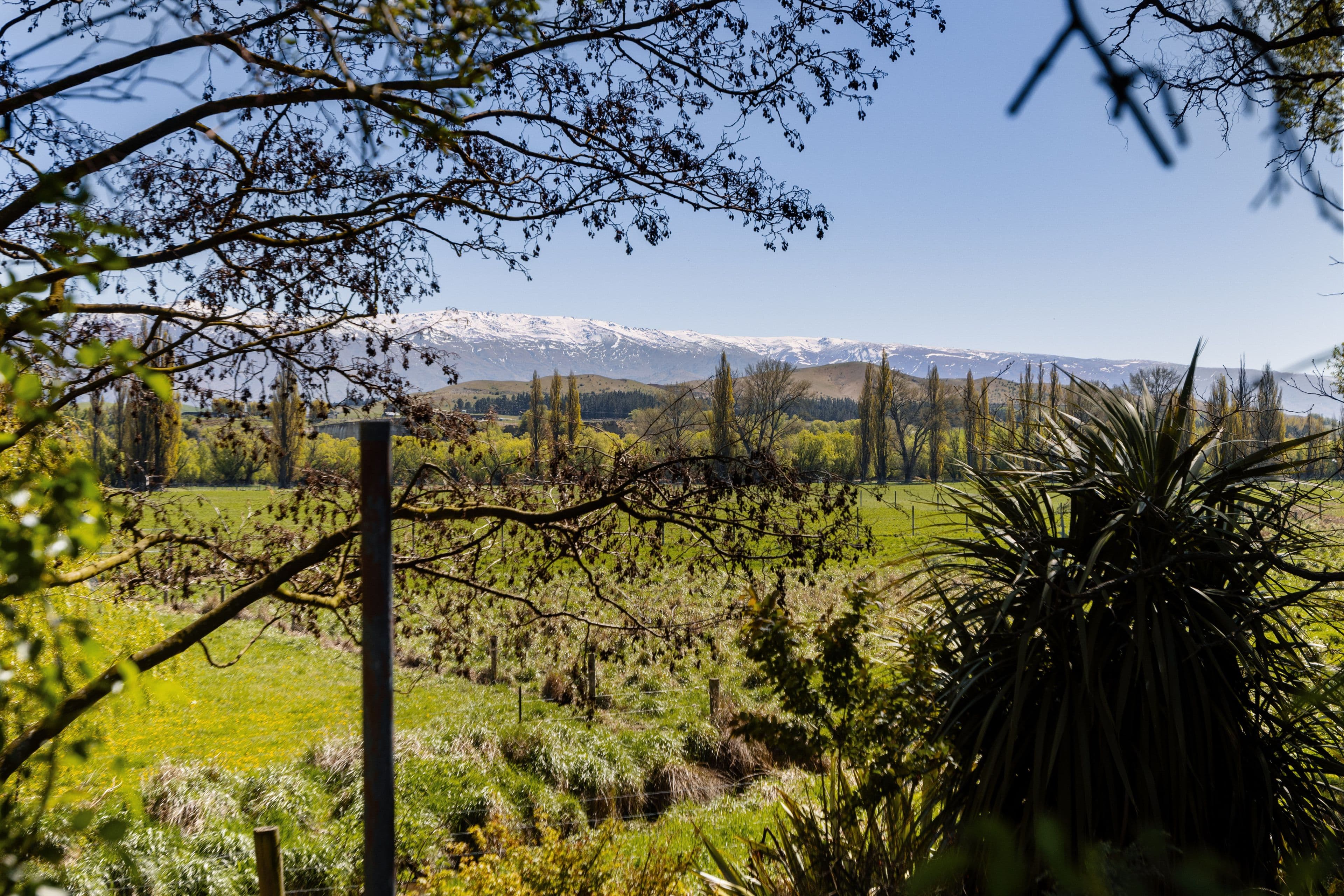 189 Fisher Lane, Alexandra, Central Otago, Otago | Tall Poppy 