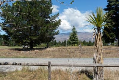 269 Dunstan Road, Alexandra, Central Otago, Otago | Tall Poppy 