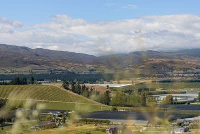 Lot 9 Fairview Lane, Cromwell, Central Otago, Otago | Tall Poppy 