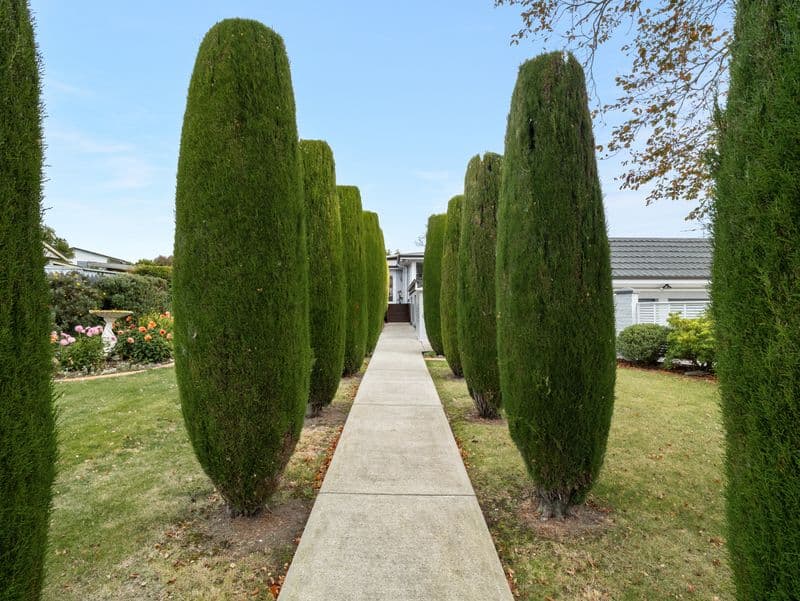 3 Pratt Street, Waikouaiti, Dunedin City, Otago | Tall Poppy 