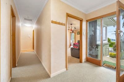 20 Saunders Street, Brockville, Dunedin City, Otago | Tall Poppy 