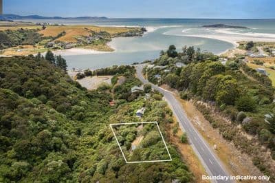 1161 Finlayson Road, Taieri Mouth, Clutha, Otago | Tall Poppy 