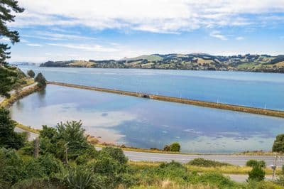 1A Burkes Drive, Saint Leonards, Dunedin City, Otago | Tall Poppy 