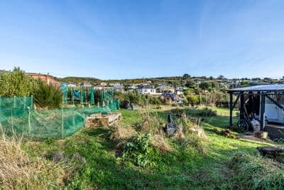 207 Bann Street, Bluff, Invercargill City, Southland | Tall Poppy 