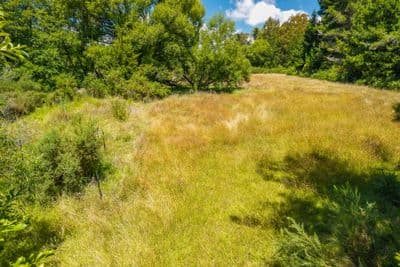 51 Mahana School Road, Mahana, Tasman, Nelson | Tall Poppy 