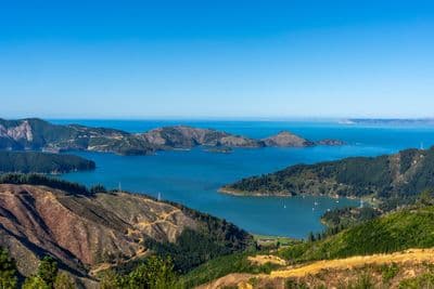 104 Te Tio Terrace, Oyster Bay, Marlborough, Marlborough | Tall Poppy 