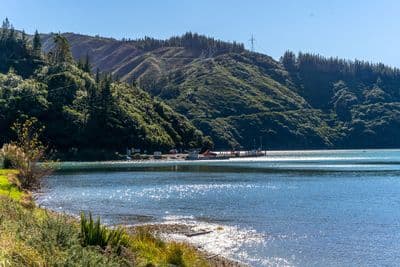 104 Te Tio Terrace, Oyster Bay, Marlborough, Marlborough | Tall Poppy 