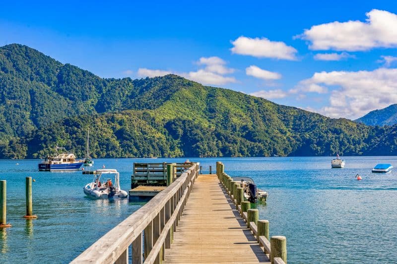 12 Manuka Drive, Ngakuta Bay, Marlborough Sounds, Marlborough | Tall Poppy 