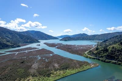 1 Butlers Road, Havelock, Marlborough, Marlborough | Tall Poppy 