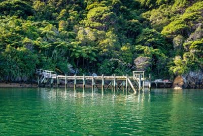 Lot 1 Miro Bay, Pelorus Sounds, Marlborough, Marlborough | Tall Poppy 