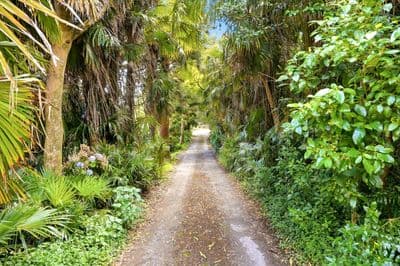 59C Wakeman Street, Pahiatua, Tararua, Manawatu | Tall Poppy 