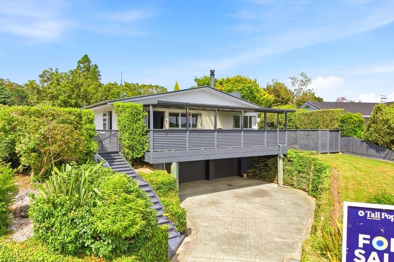 4 Davidson Crescent, Pahiatua, Tararua, Manawatu | Tall Poppy 