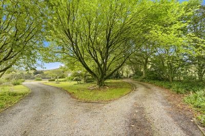 135 Surreydale Road, Pahiatua, Tararua, Manawatu | Tall Poppy 