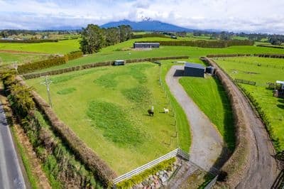 376 Monmouth Road, Stratford, Stratford, Taranaki | Tall Poppy 