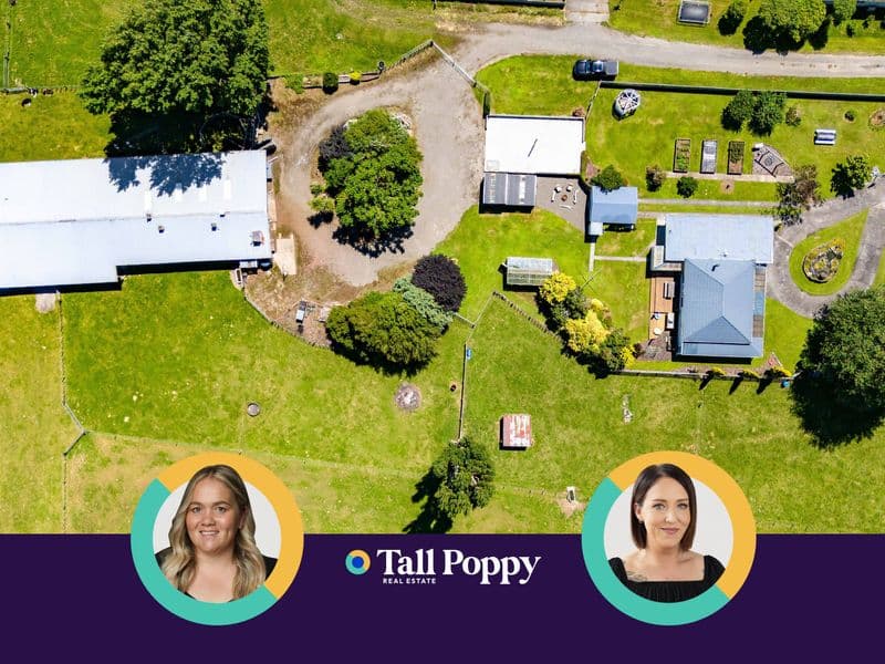 12 Toko Road, Toko, Stratford, Taranaki | Tall Poppy 