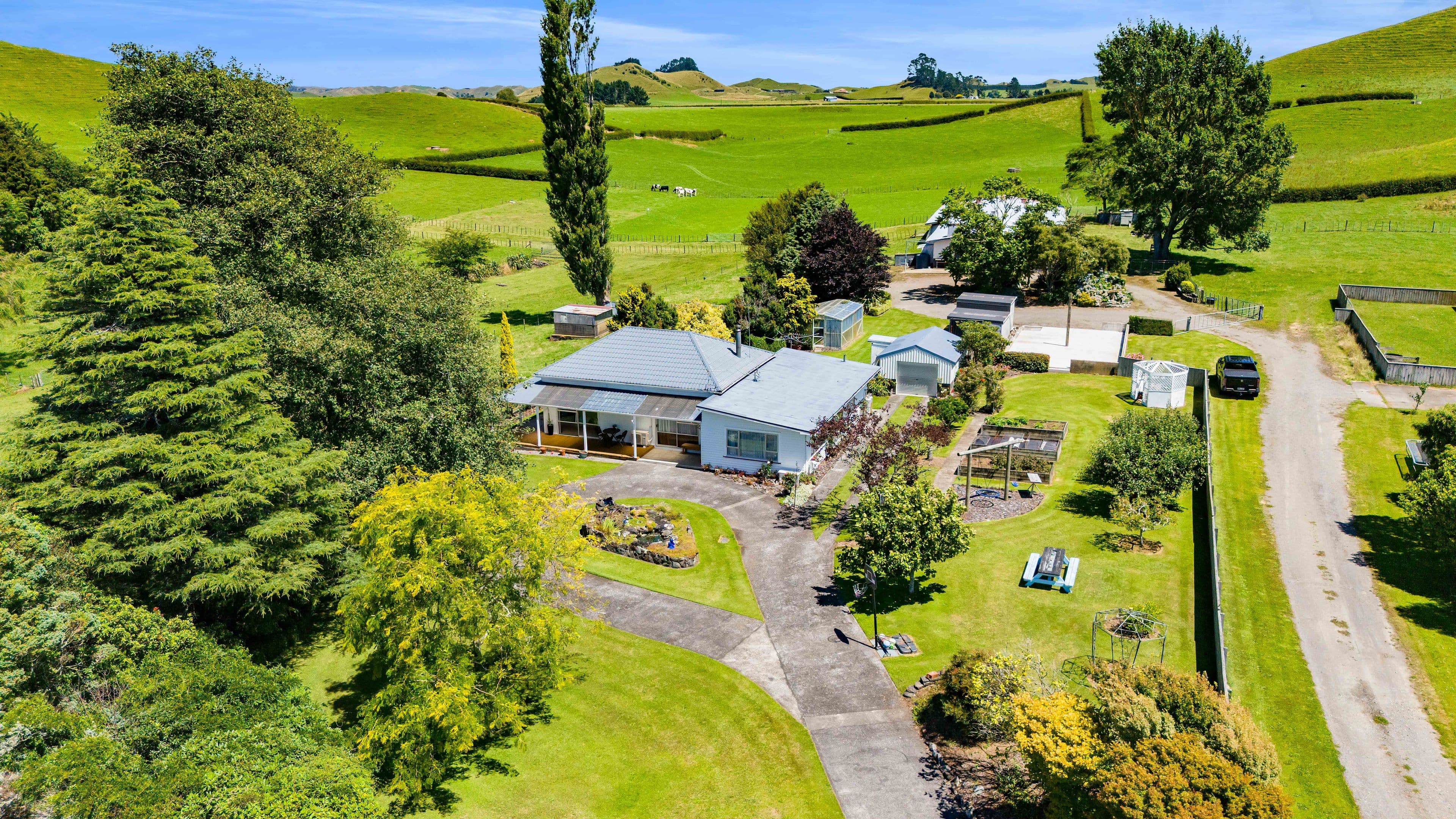 12 Toko Road, Toko, Stratford, Taranaki | Tall Poppy 