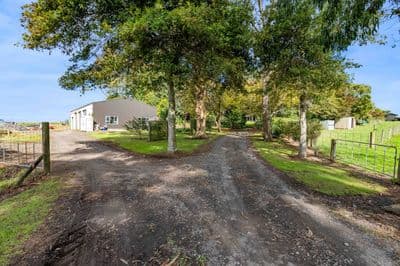 382 Brookes Road, Cardiff, Stratford, Taranaki | Tall Poppy 