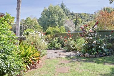 22 Pohue Creek Road, Waiomu, Thames-Coromandel, Waikato | Tall Poppy 