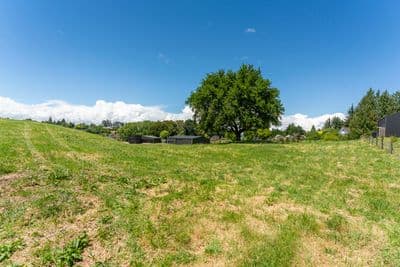 4 Vickers Way, Acacia Bay, Taupo, Waikato | Tall Poppy 