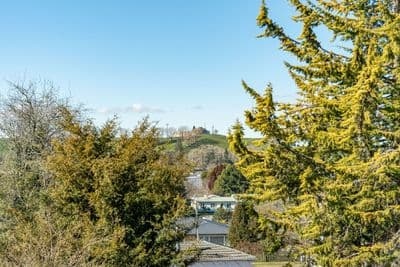9 Manaia Street, Tokoroa, Tokoroa, Waikato | Tall Poppy 