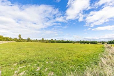 8 Horopito Heights, Ohakune, Ruapehu, Whanganui | Tall Poppy 