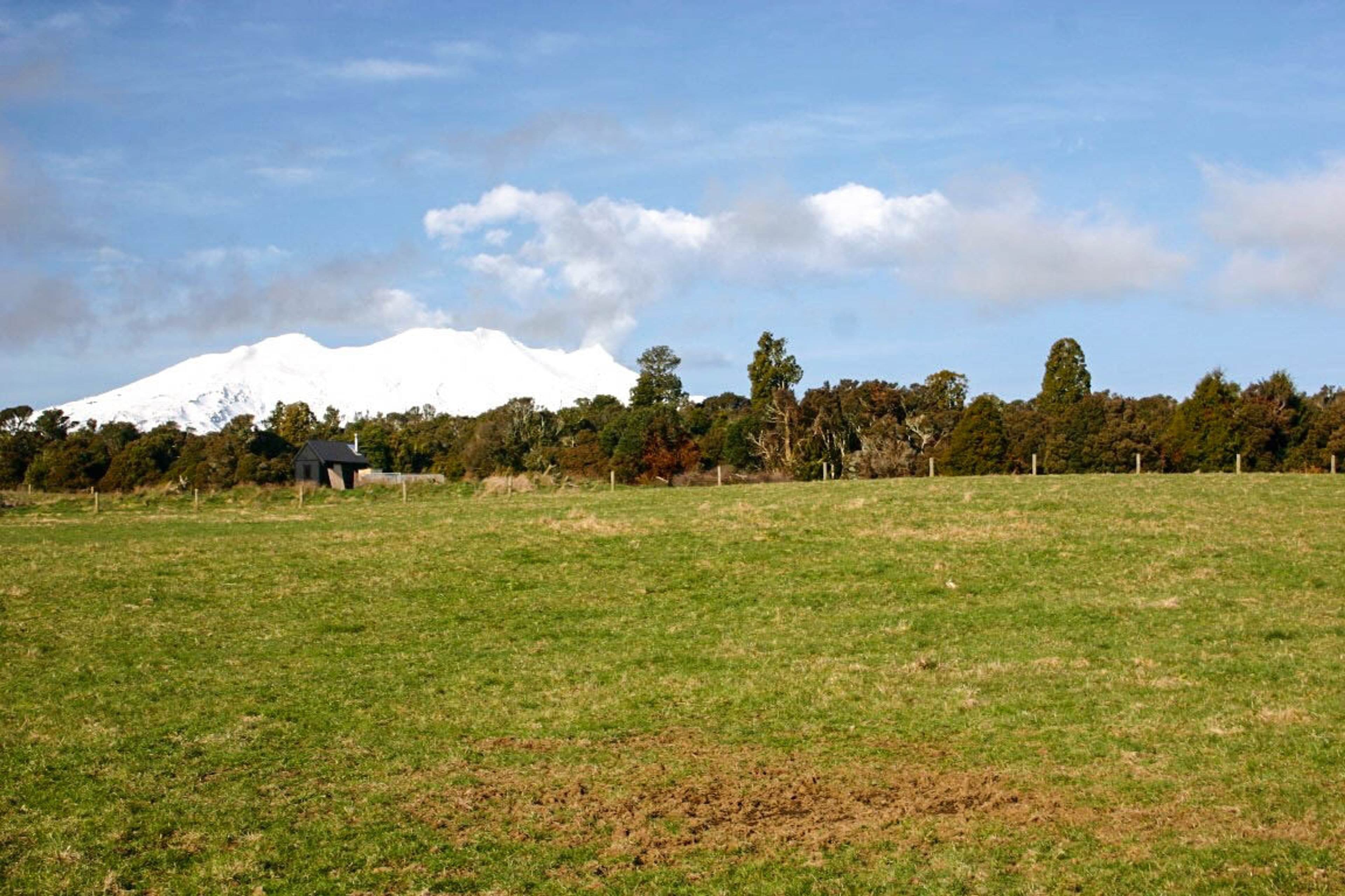 8 Horopito Heights, Ohakune, Ruapehu, Whanganui | Tall Poppy 