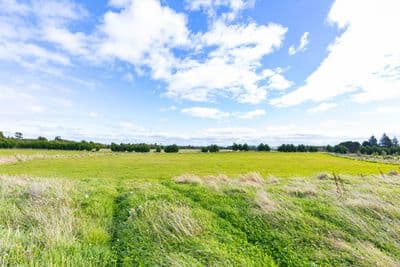 6 Horopito Heights, Ohakune, Ruapehu, Whanganui | Tall Poppy 