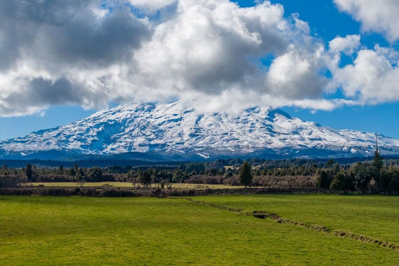 10 136 Matapuna Road, Horopito, Ruapehu