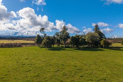 10 136 Matapuna Road, Horopito, Ruapehu, Whanganui | Tall Poppy 