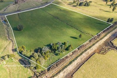 10 136 Matapuna Road, Horopito, Ruapehu, Whanganui | Tall Poppy 