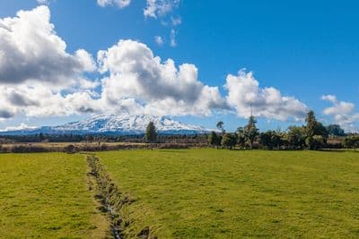 10 136 Matapuna Road, Horopito, Ruapehu, Whanganui | Tall Poppy 