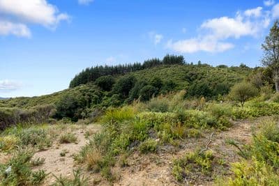 1342F Akatarawa Road, Akatarawa, Upper Hutt City, Wellington | Tall Poppy 