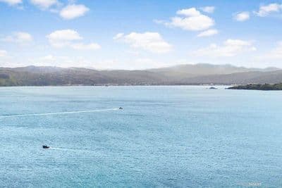 47 Roseneath Terrace, Roseneath, Wellington City, Wellington | Tall Poppy 