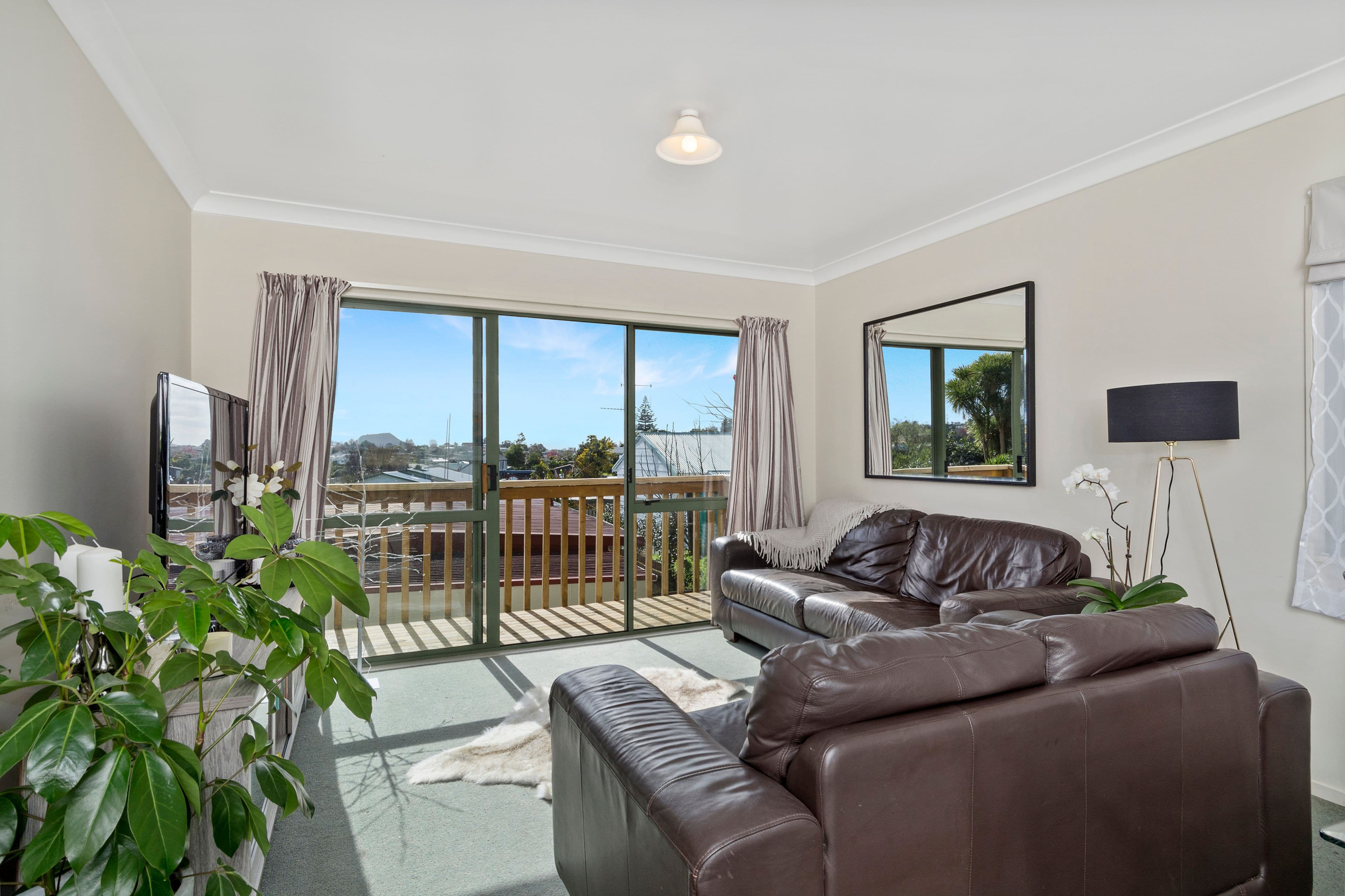 301 Waihi Road, Judea, Tauranga, Bay of Plenty | Tall Poppy