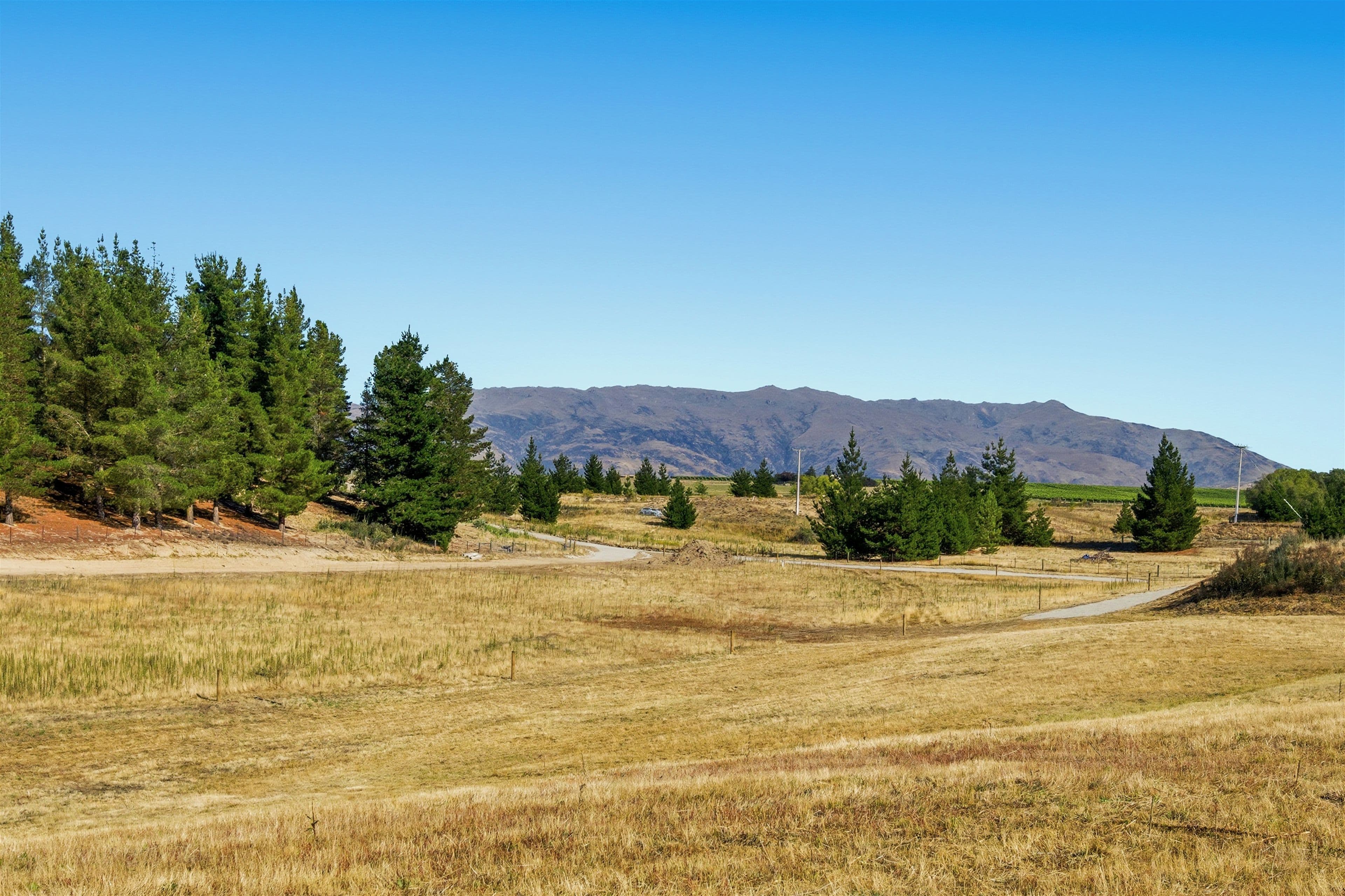 Lot 2 456 Springvale Road, Springvale, Central Otago, Otago | Tall Poppy