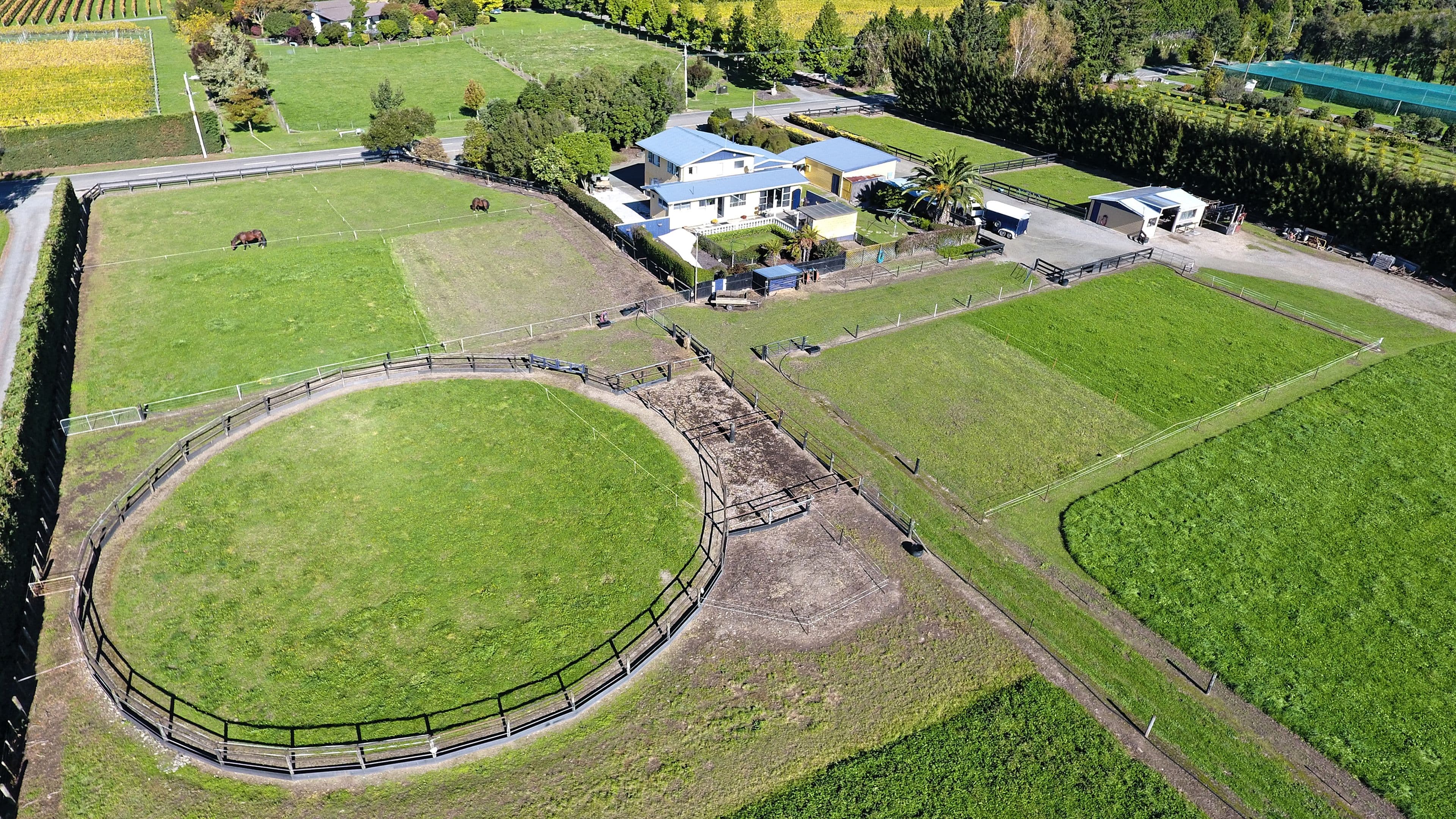 430 Paton Road, Richmond , Tasman, Nelson | Tall Poppy