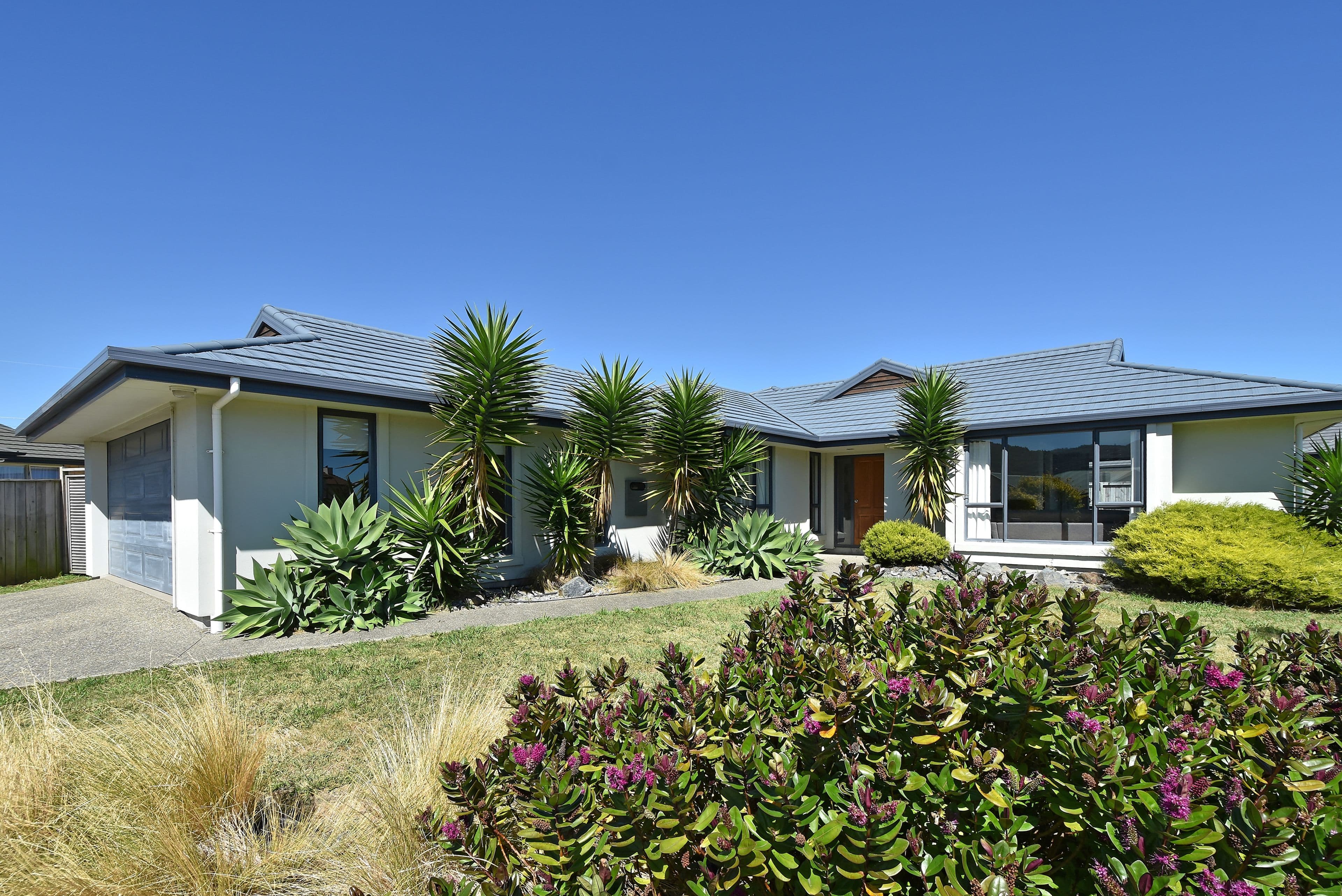 172 Panorama Drive, Enner Glynn, Nelson, Nelson | Tall Poppy