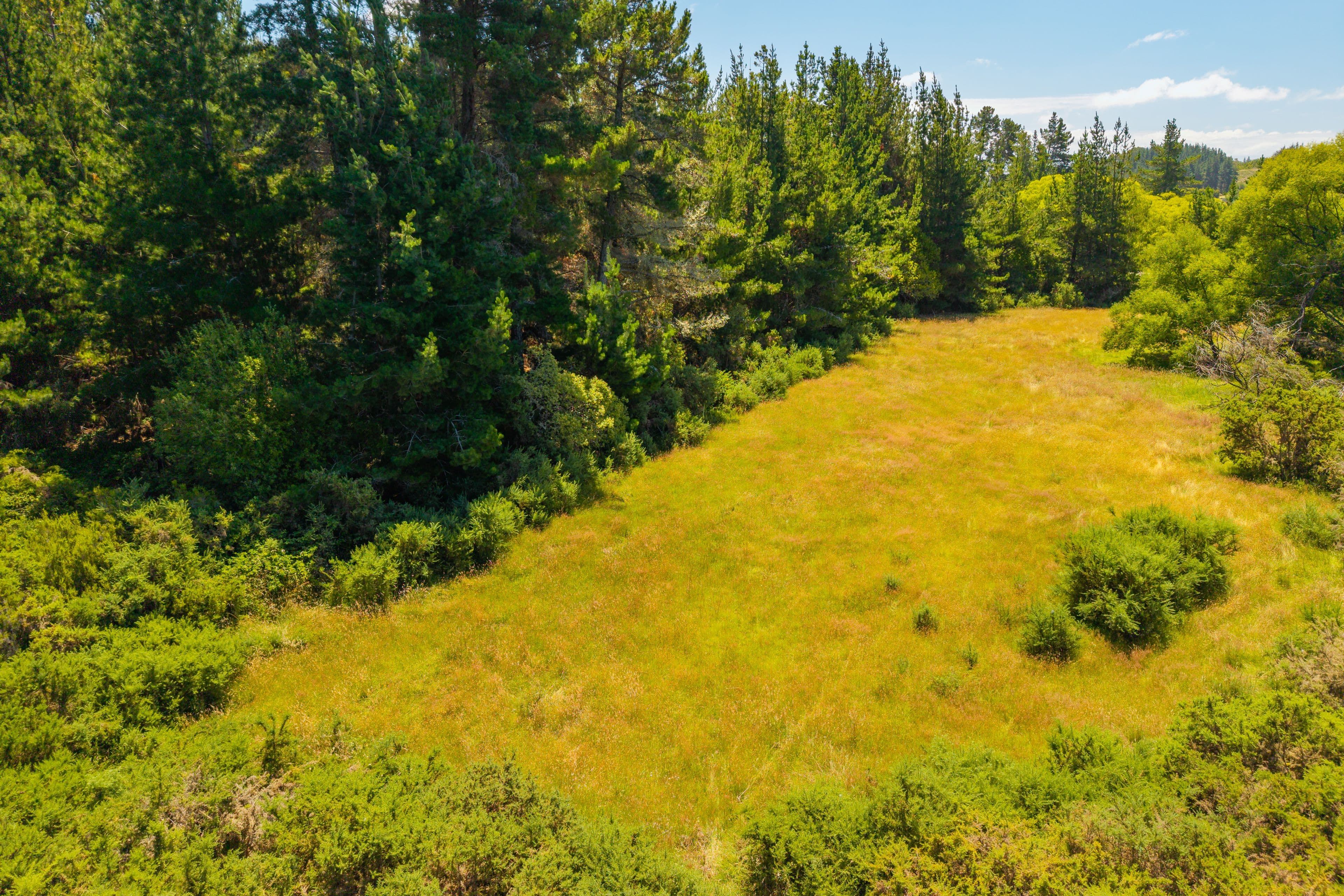 51 Mahana School Road, Mahana, Tasman, Nelson | Tall Poppy