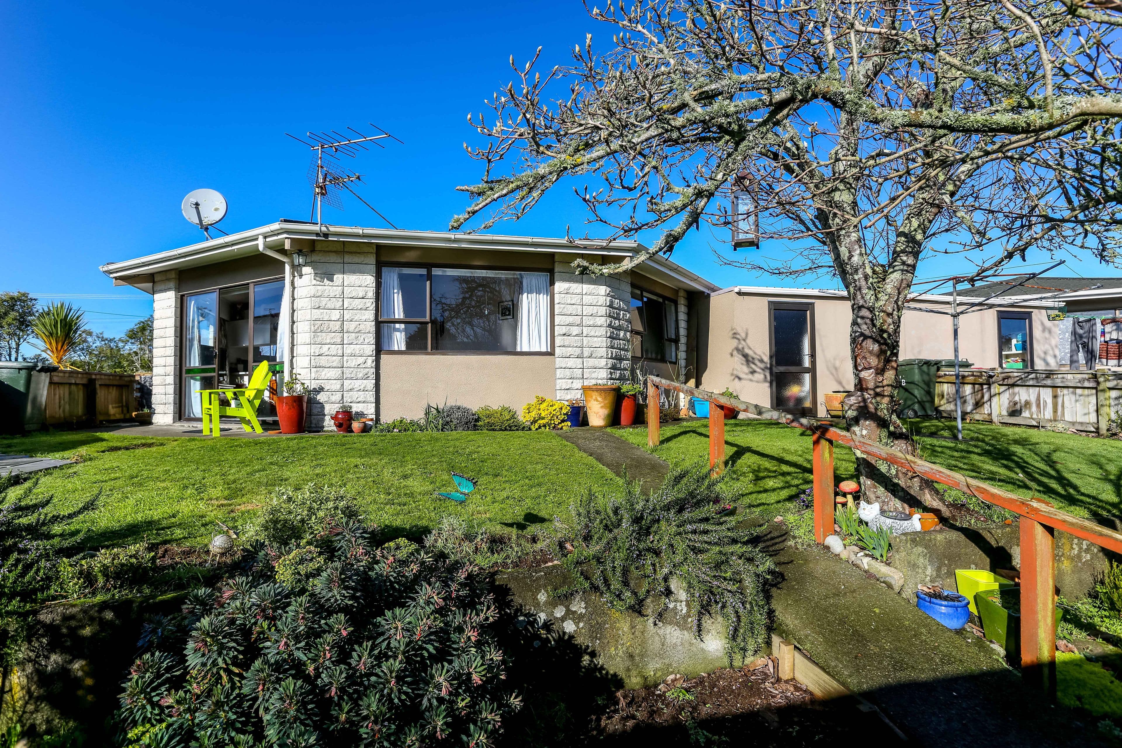 152B Regan St, Stratford, Stratford, Taranaki | Tall Poppy