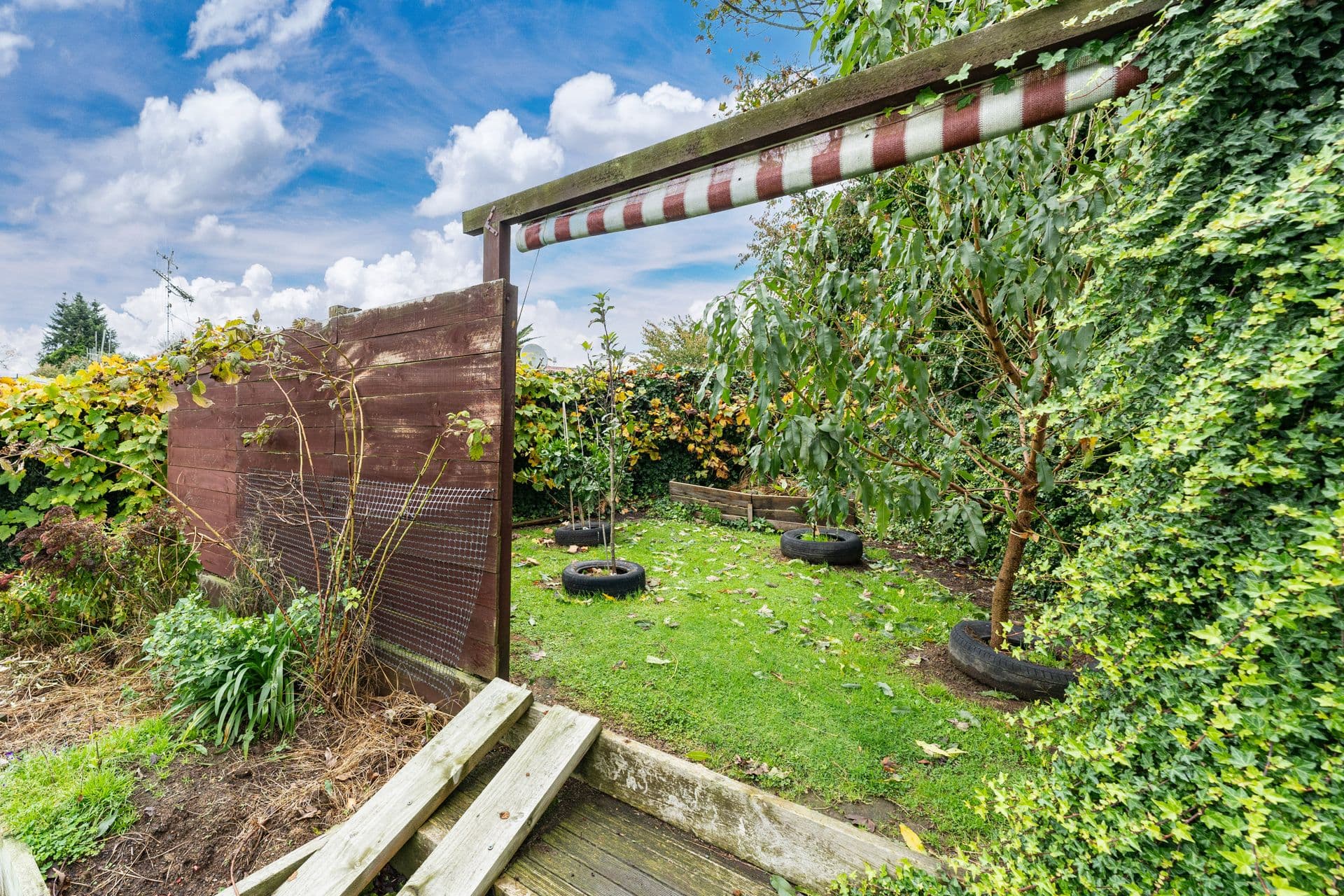 9 Rimu Place, Tokoroa, Tokoroa, Waikato | Tall Poppy