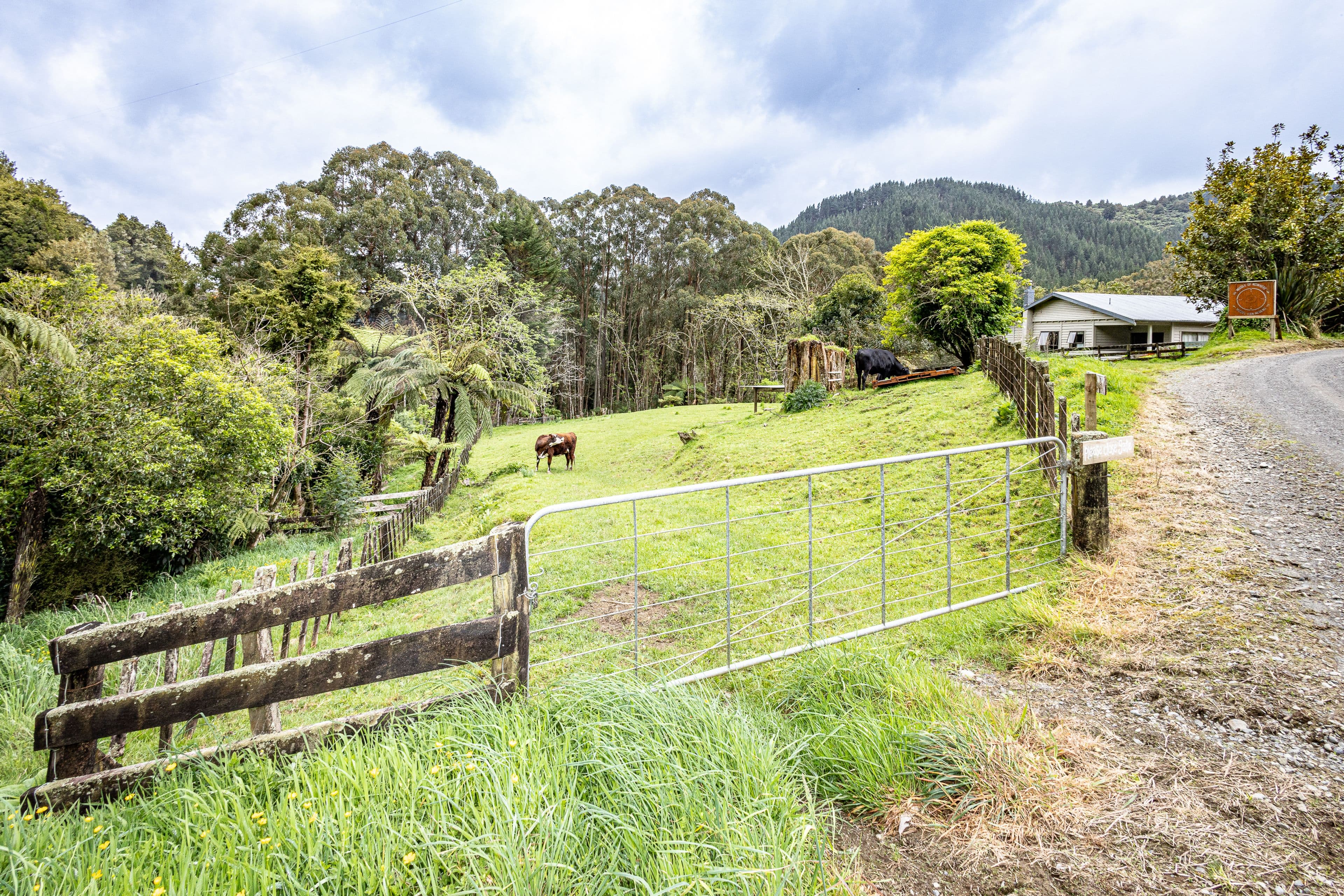619 Kirikau Valley Road, Taumarunui, Ruapehu, Wanganui | Tall Poppy