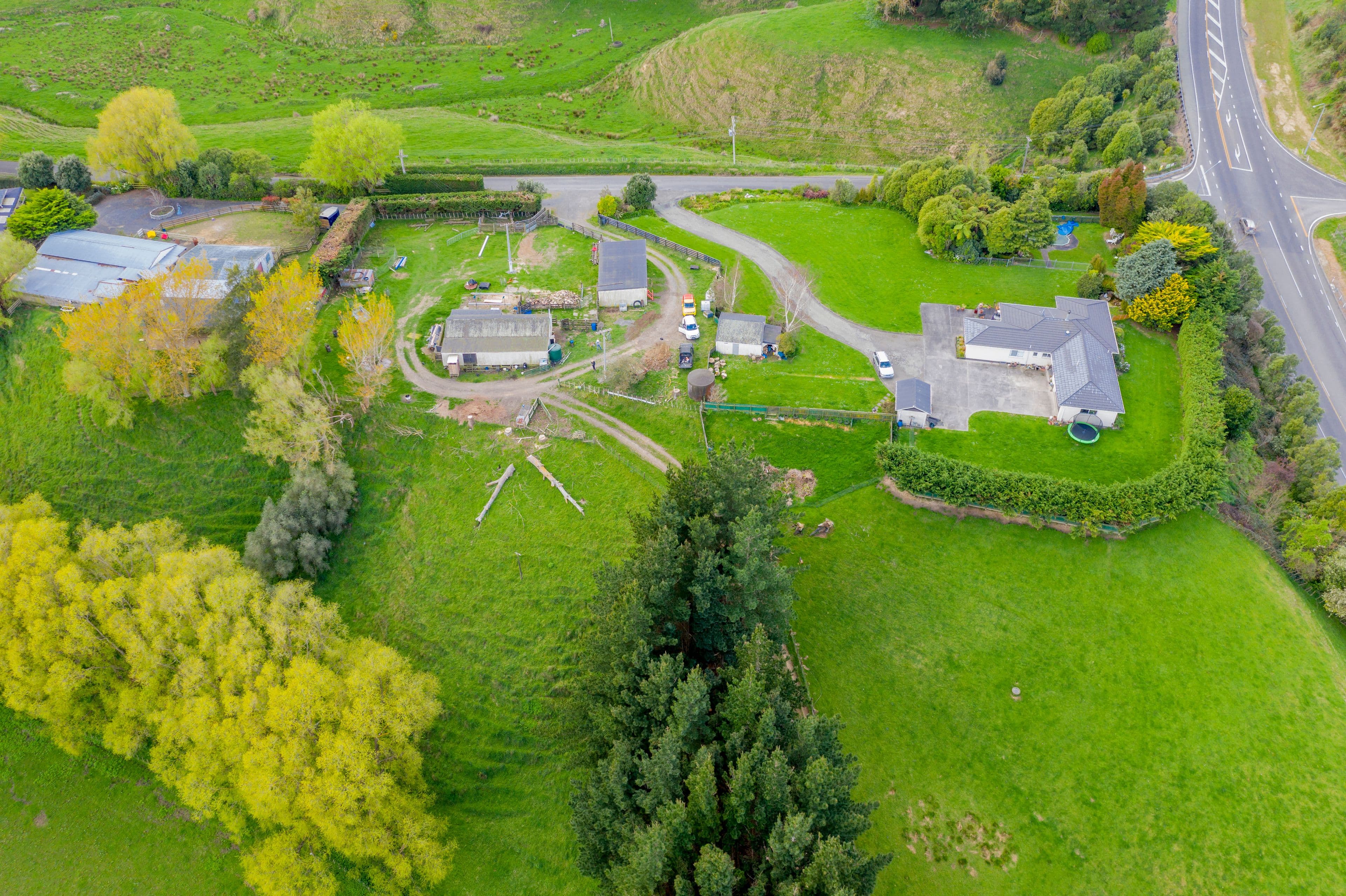 9 Buckley Road, Shannon, Horowhenua, Manawatu | Tall Poppy